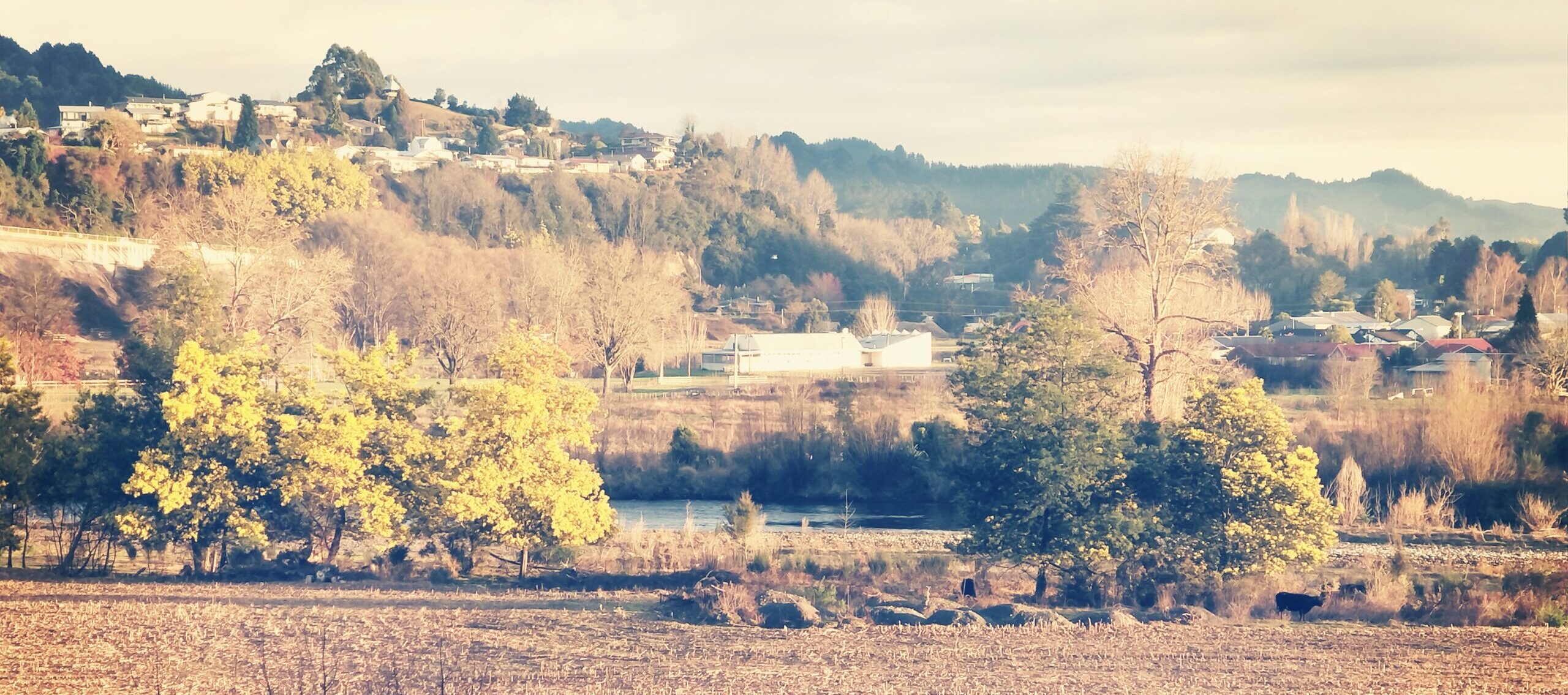 A autumn view across farmland to the river and the town beyond